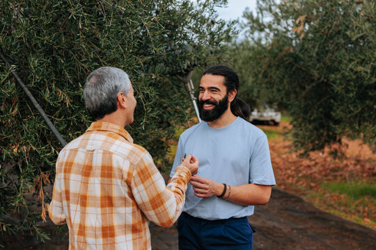 Farmers discussing during olive harvest in orchard - Powered by Adobe