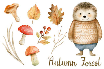 Obraz premium Watercolor illustration set with hedgehog, mushrooms, autumn leaves. Isolated on white background. Hand drawn clipart. Perfect for card, postcard, tags, invitation, printing, wrapping.