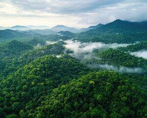Breathtaking aerial view of lush green mountains and misty valleys in serene nature.