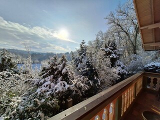 Sunny Winter Morning with Snowy Forest View from Balcony