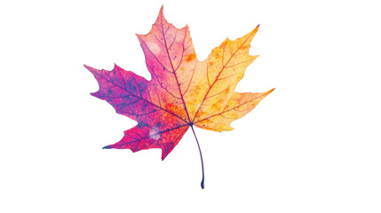 Maple leaf transparent background
