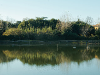 Artificial lake of Prunicio , Tuscany, Italy
