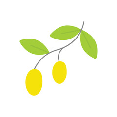 Olive  vector icon