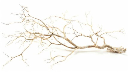 Close-up of human brain with interconnected neurons symbolizing cellular memory, ideal for educational and scientific content, showcasing the complexity of memory storage.