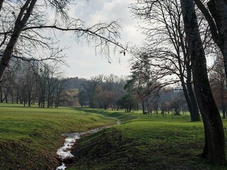 A serene park scene with a small stream flowing through a grassy area. Bare trees frame the...