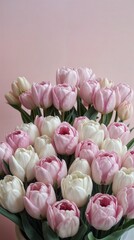 Fototapeta premium Beautiful bouquet of pink and white tulips arranged on pastel pink background for spring celebration.