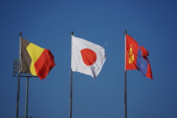 Japanese flag and world flags with the stadium in the background