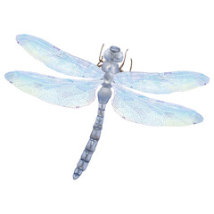 A graceful dragonfly with transparent wings and a segmented body. Watercolor digital illustration, isolated on a white background. The dragonfly has large light blue wings with visible veins.