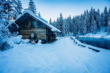 Ice Dawn in Sappada. Walk through ancient villages and dream mountains. Dolomites.