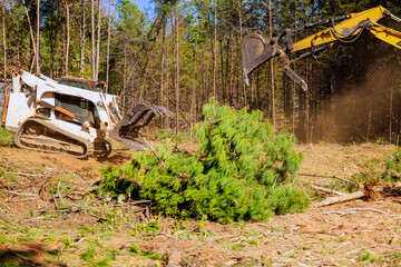 Trees are uprooted when contractor uses an excavator to prepare land for construction