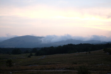 landscape in the morning