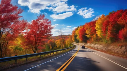 Fototapeta premium foliage michigan road