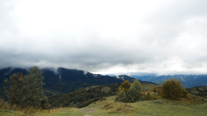 landscape in the morning