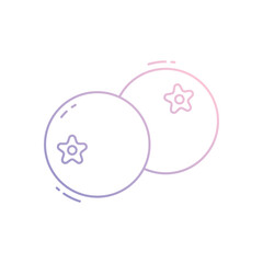 Blueberry  vector icon