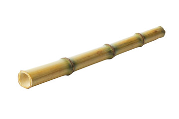 Fototapeta premium Single Bamboo Stalk Isolated on PNG Transparent Background