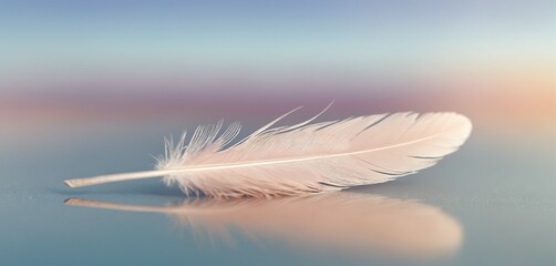 Soft Feather on Smooth Surface