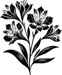Black and White Illustration of Alstroemeria Peruvian Flower