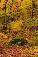 Fototapeta premium Tranquil Seat