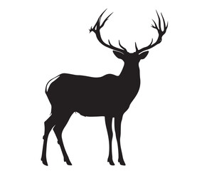 Obraz premium Majestic Stag Silhouette 