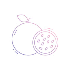 Passion fruit vector icon