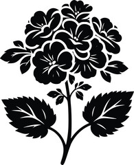 Black and White Illustration of a Begonia Cluster