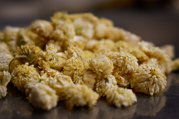 Camomille romaine (Chamaemelum nobile) Fleurs séchées