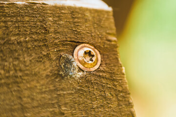 Hex Bolt in Wooden Plank close-up