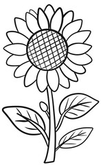 black and white flower