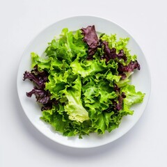 Fresh green and purple lettuce leaves on a white plate, isolated on a white background.