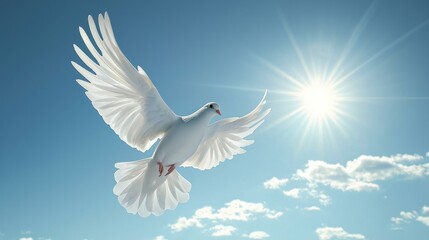 A white dove soaring through a clear blue sky, wings spread wide and feathers glowing in the sunlight