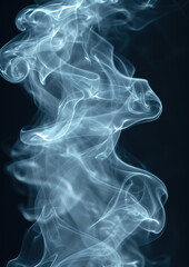 Obraz premium smoke on black background