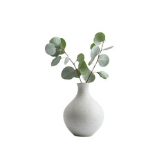 A small vase with fresh eucalyptus branches isolated on white background © Emily88