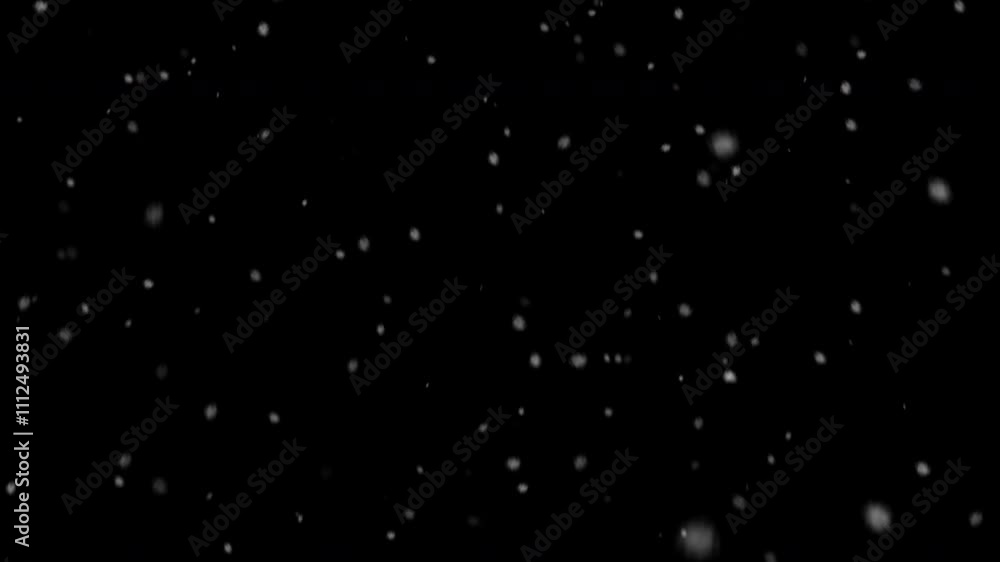 Wall mural snowfall video. snow fluff falling from the sky. snow fluff isolated on black background. alpha chan