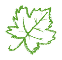 Grape Leaf Wine Sommelier Related Icon Crayon Chalk Drawing Vector