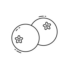 Blueberry  vector icon