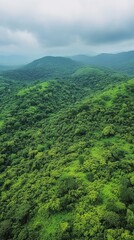 Obraz premium Lush rolling hills covered in dense green forest stretch into the distance under a cloudy sky, offering a serene and breathtaking view of untouched natural beauty and wilderness.