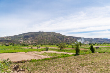 A field of crops, furrows of land for planting vegetables, agriculture in the field.

