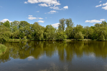 Summer reflections on calm ponds surrounded by lush greenery in Piaseczno
