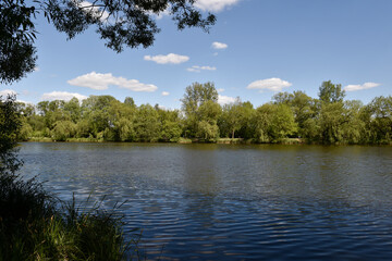 Summer reflections on calm ponds surrounded by lush greenery in Piaseczno