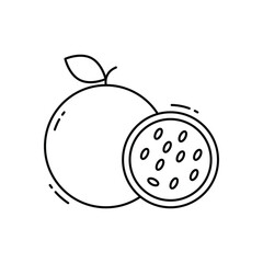 Passion fruit vector icon