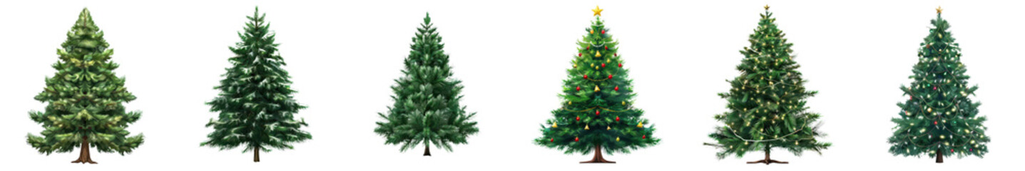 set of Christmas tree, festive element, png isolated on an empty background