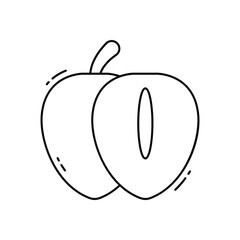 Chikoo vector icon