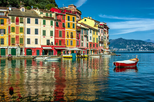 Boats moored in a harbour in front of traditional multi coloured terraced houses, Portofino, Genoa, Liguria, Italy