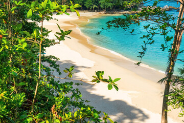 Tropical sandy beach with turquoise waters, palm trees and green foliage under a bright blue sky...