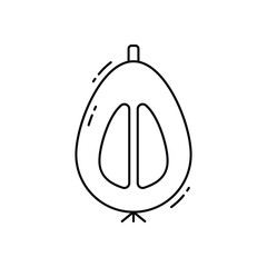 Loquat vector icon