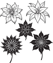 black and white flowers