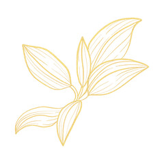 A leaf with gold glitter on it