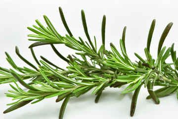 Fototapeta premium Rosemary sprig on white background. A white background with a spice and rosemary. Rosemary spice white background green plant lying. A white and green plant lying on a lifestyle green background with.