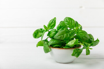 Green basil leaves on a textured wooden background. Kitchen herbs, spices. Fresh green organic basil. Vegan. Greens for salad. Place for text. Copy space.