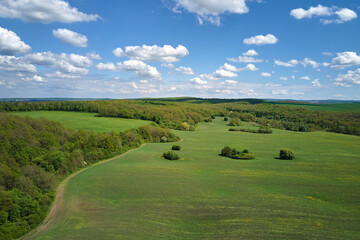Aerial view of green farm fields in summer season with growing crops. Farming and agriculture...
